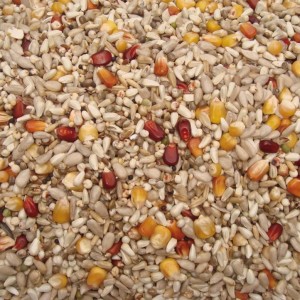 KARMA VANROBAEYS NR. 35 TOP ENERGY, 20 KG