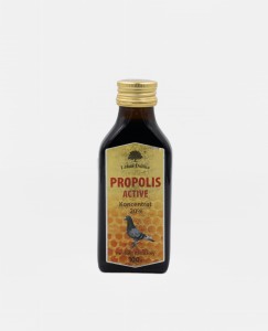 PROPOLIS ACTIVE 100ml