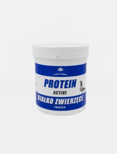 Protein Active 200g
