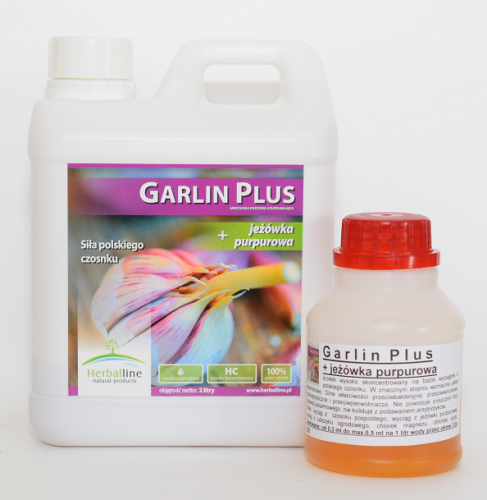 Garlin-PLUS.png