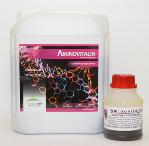 AMINOVITALIN – WITAMINY I AMINOKWASY, 100 ml