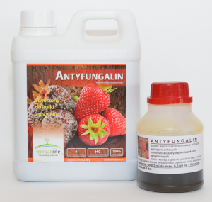 ANTYFUNGALIN, 100 ml