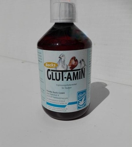 glutamin-540x600.jpg