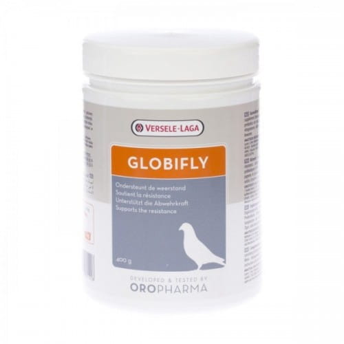 GLOBIFLY.jpg