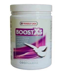 BOOST X5, 500 g