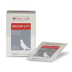 RECUP-LYT (ELEKTROLYTEN), 240 g