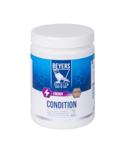 Condition 600g
