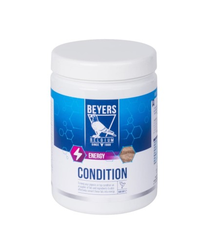 Condition-600gr.jpg