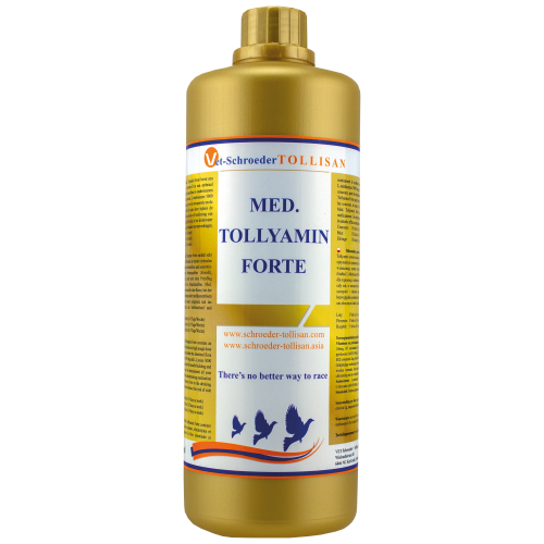 TollyaminForte-1.jpg