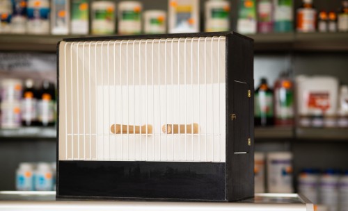 DSC_1932.JPG